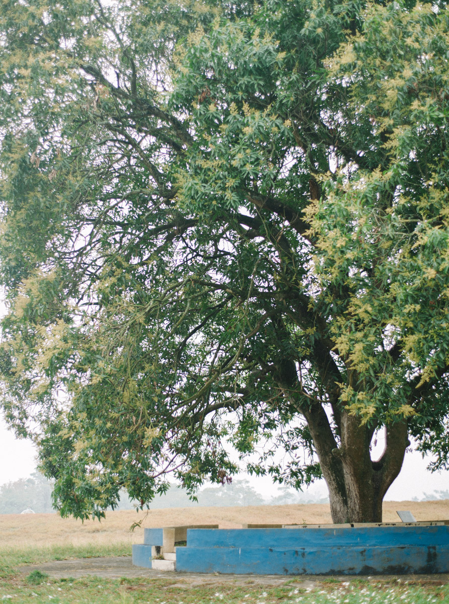 SealonHeart-film-wedding-markhong-tainan-0001