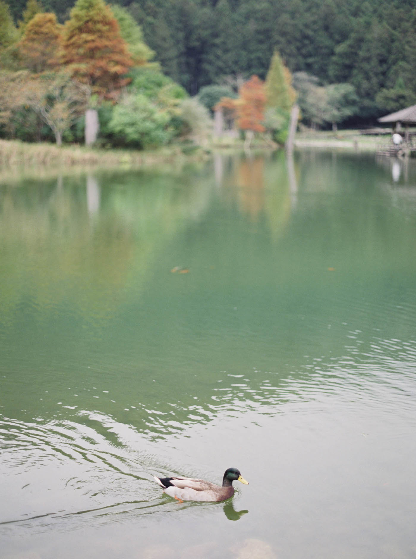 明池婚紗