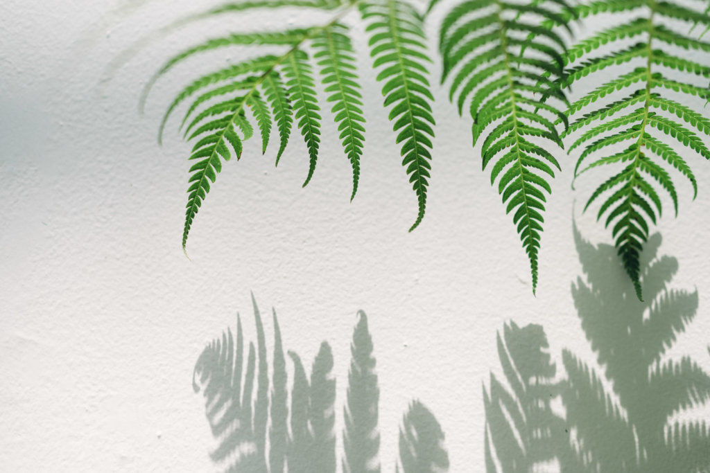 涵碧樓婚紗-日月潭-GFX-50R-美式婚紗-mark hong