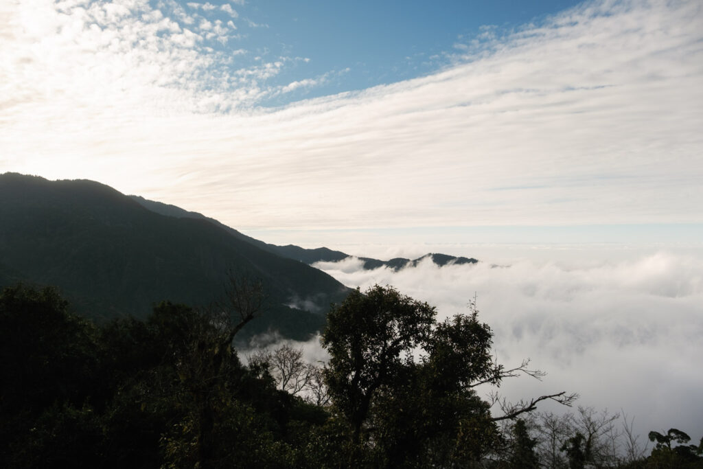觀霧森林 婚紗 高山