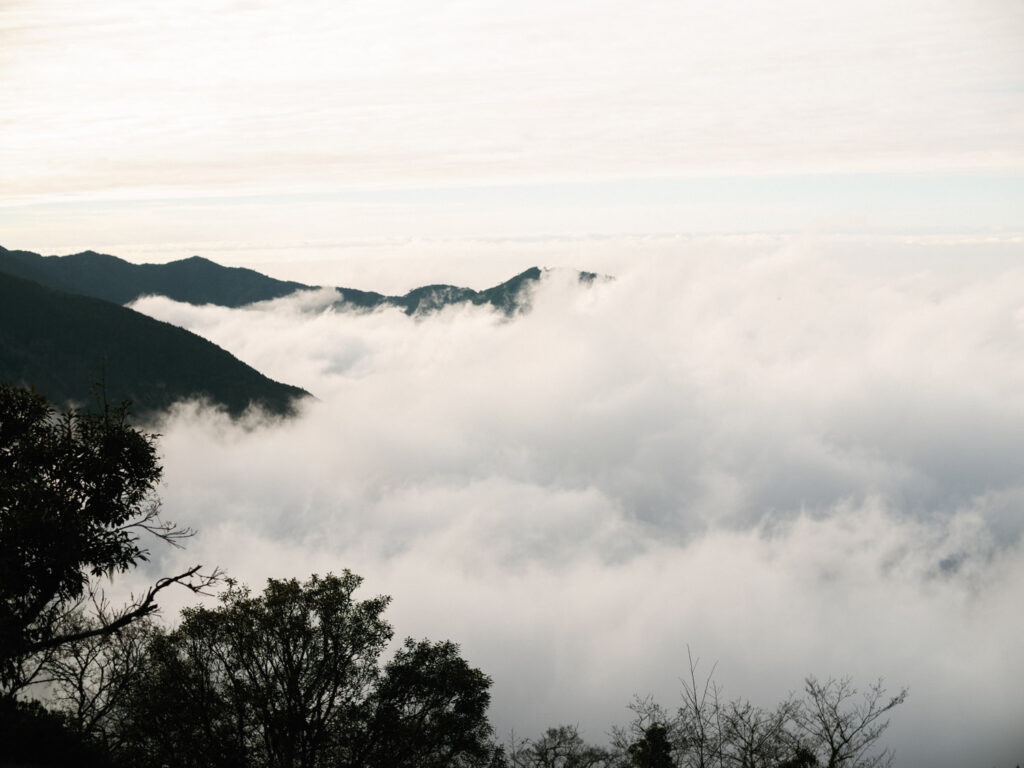觀霧森林 婚紗 高山 雲海 生活感婚紗 山岳婚紗 旅程