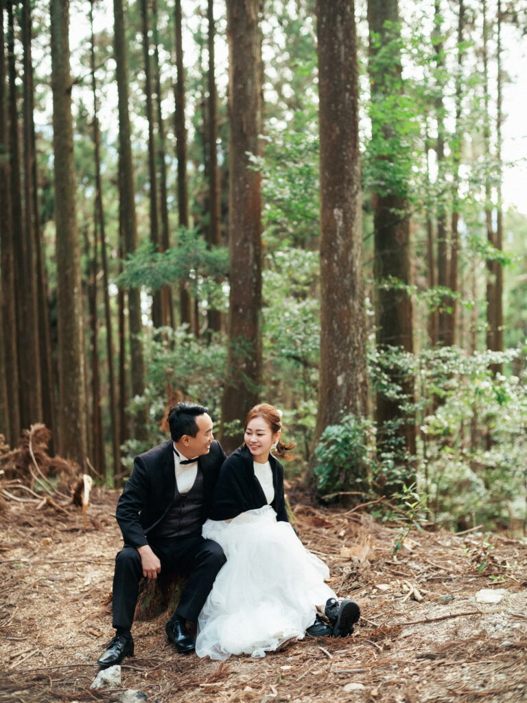 森林 婚紗 雲海