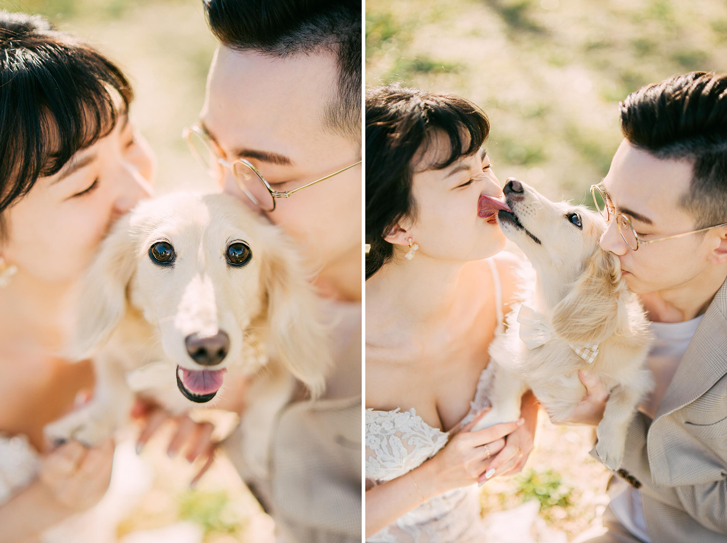 创意仙女棒拍照玩法详解, image size:1500x1119