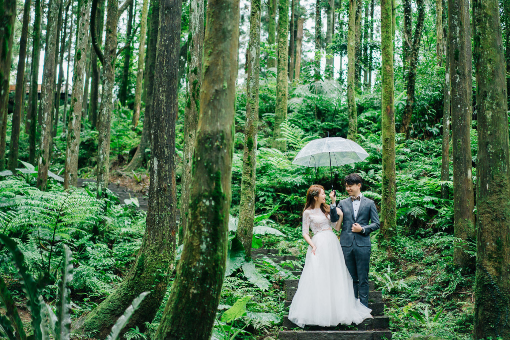婚紗景點森林
